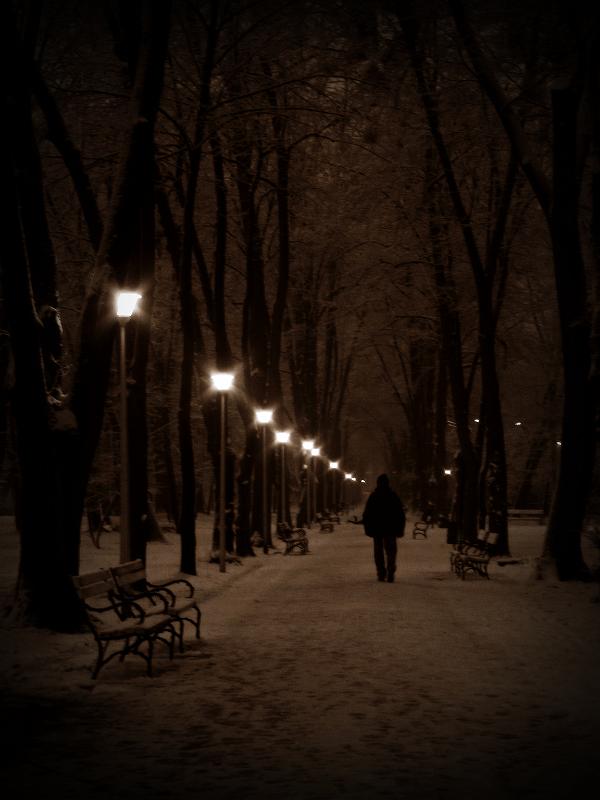 magic winter night.jpg